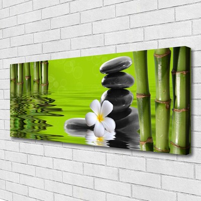 Quadro canvas Planta de Pedras de Bambu