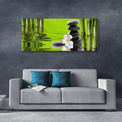 Quadro canvas Planta de Pedras de Bambu