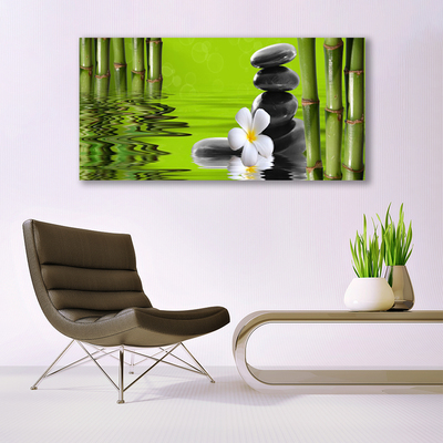 Quadro canvas Planta de Pedras de Bambu
