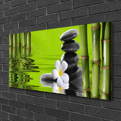Quadro canvas Planta de Pedras de Bambu