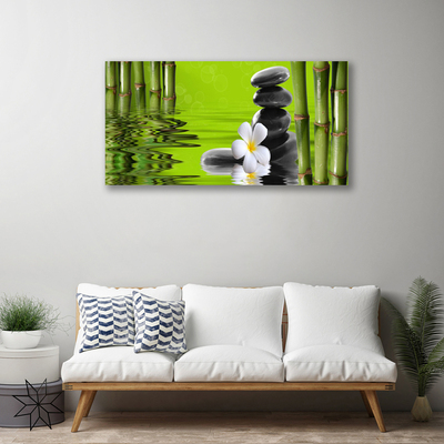 Quadro canvas Planta de Pedras de Bambu