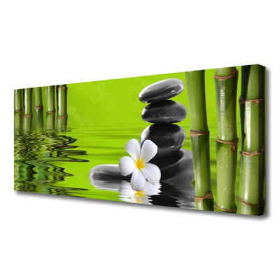 Quadro canvas Planta de Pedras de Bambu