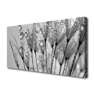 Quadro em tela Planta dente-de-leão