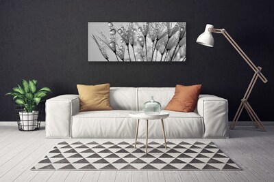 Quadro em tela Planta dente-de-leão