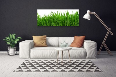 Quadro canvas Natureza da planta grama