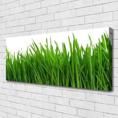 Quadro canvas Natureza da planta grama