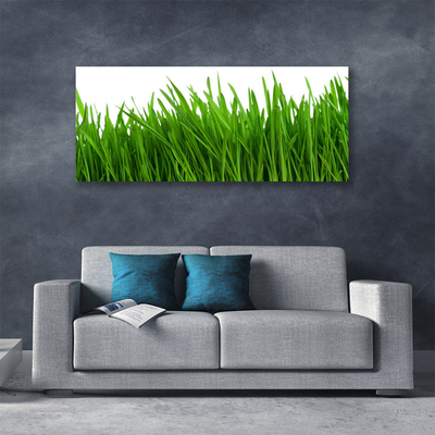 Quadro canvas Natureza da planta grama