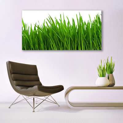 Quadro canvas Natureza da planta grama