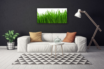 Quadro canvas Natureza da planta grama