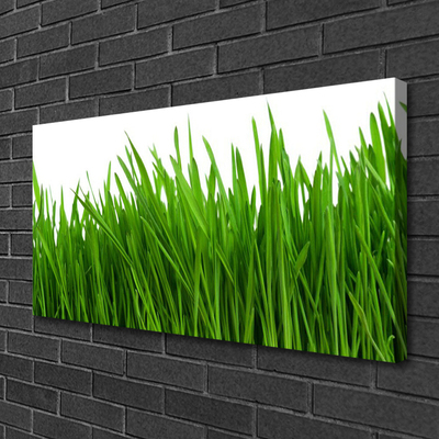 Quadro canvas Natureza da planta grama