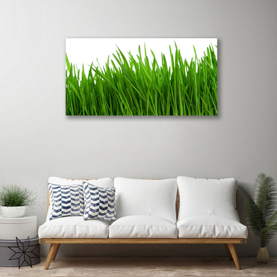 Quadro canvas Natureza da planta grama
