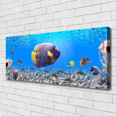 Quadro canvas Natureza dos peixes