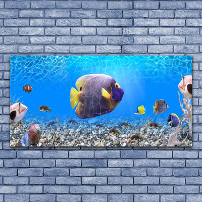 Quadro canvas Natureza dos peixes