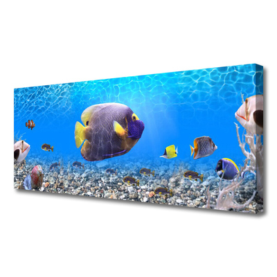 Quadro canvas Natureza dos peixes