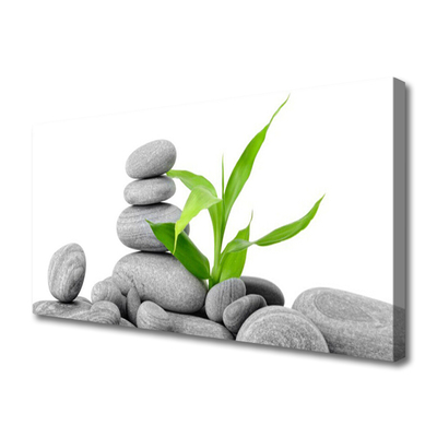 Quadro em tela Arte com Folhas e Pedras