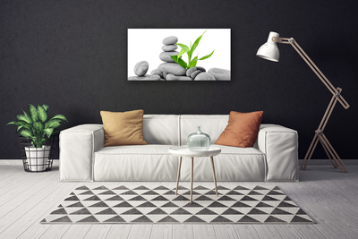 Quadro em tela Arte com Folhas e Pedras