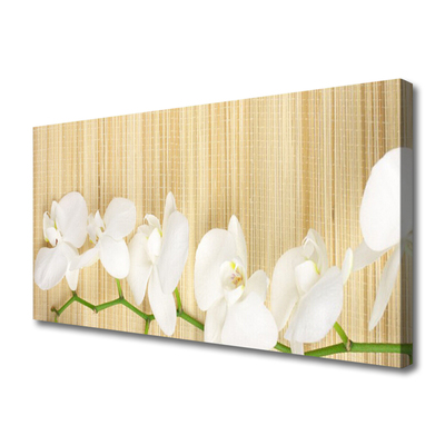 Quadro canvas Flores Planta Natureza