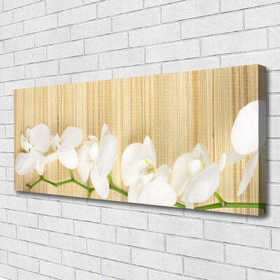Quadro canvas Flores Planta Natureza