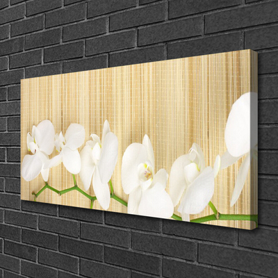Quadro canvas Flores Planta Natureza