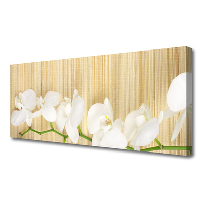 Quadro canvas Flores Planta Natureza