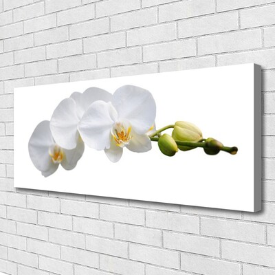 Quadro em tela Flores Planta Natureza