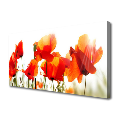 Quadro canvas Papoulas Plantam Natureza