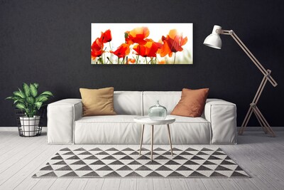 Quadro canvas Papoulas Plantam Natureza