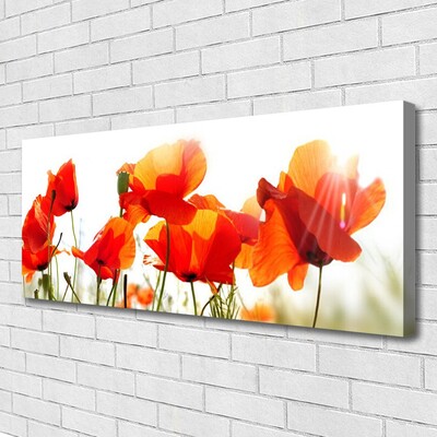 Quadro canvas Papoulas Plantam Natureza