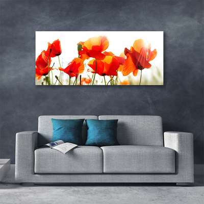 Quadro canvas Papoulas Plantam Natureza