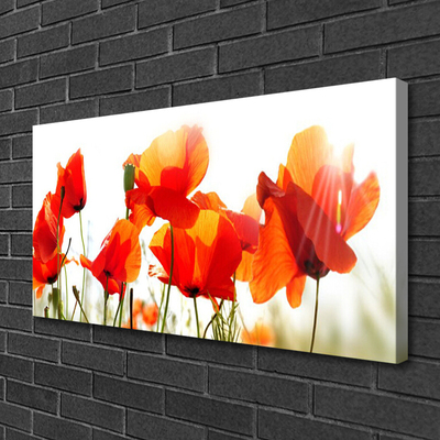 Quadro canvas Papoulas Plantam Natureza