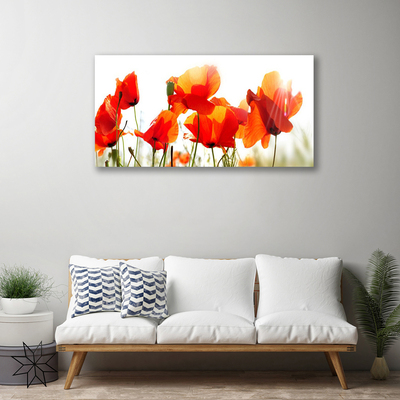 Quadro canvas Papoulas Plantam Natureza