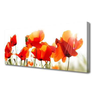Quadro canvas Papoulas Plantam Natureza