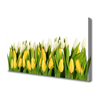 Quadro canvas Tulipas Flores Planta