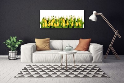 Quadro canvas Tulipas Flores Planta