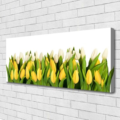 Quadro canvas Tulipas Flores Planta