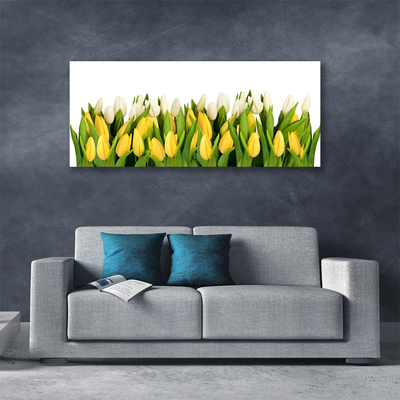 Quadro canvas Tulipas Flores Planta