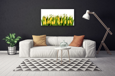 Quadro canvas Tulipas Flores Planta