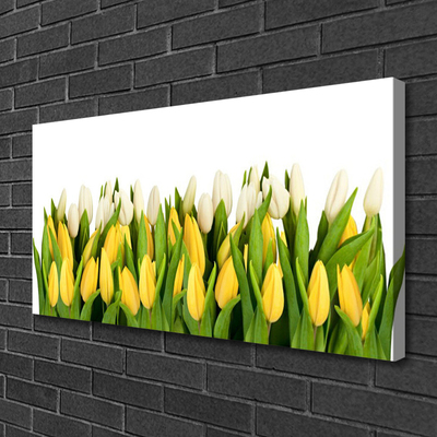 Quadro canvas Tulipas Flores Planta