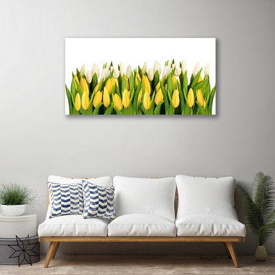 Quadro canvas Tulipas Flores Planta