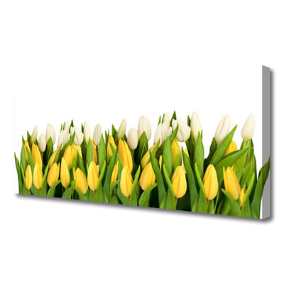 Quadro canvas Tulipas Flores Planta