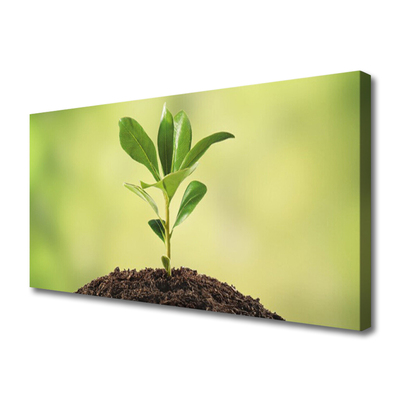Quadro em tela Crescimento de plantas terrestres