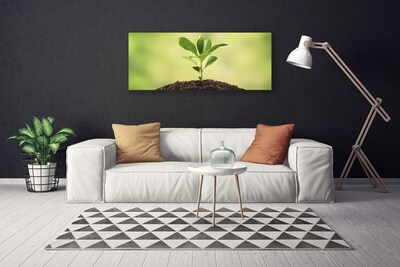 Quadro em tela Crescimento de plantas terrestres