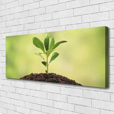 Quadro em tela Crescimento de plantas terrestres