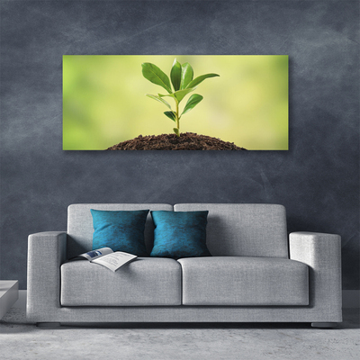 Quadro em tela Crescimento de plantas terrestres