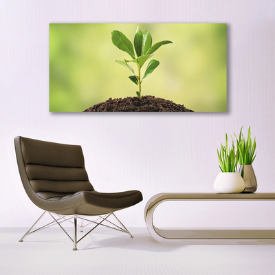 Quadro em tela Crescimento de plantas terrestres