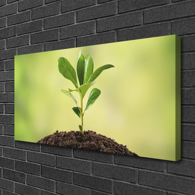 Quadro em tela Crescimento de plantas terrestres