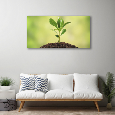 Quadro em tela Crescimento de plantas terrestres