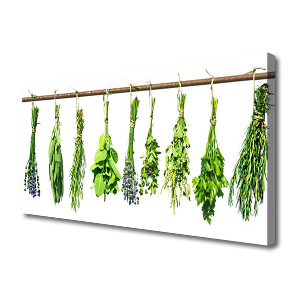 Quadro canvas Flores Planta Natureza