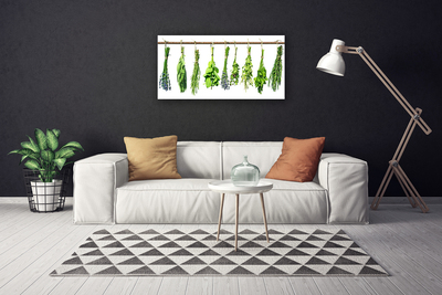 Quadro canvas Flores Planta Natureza