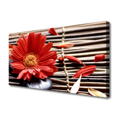 Quadro canvas Flor Planta Natureza